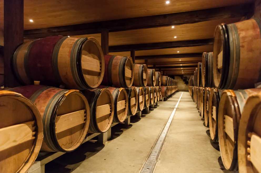 Portugal: A Powerhouse in the Global Wine Landscape